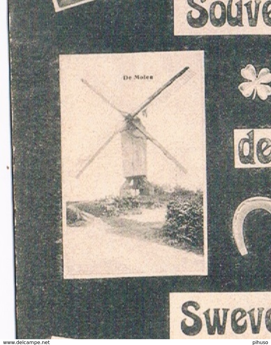 B-7008   SWEVEZEELE / ZWEVEZEELE : Souvenir De ( Moulin, Mill) - Wingene