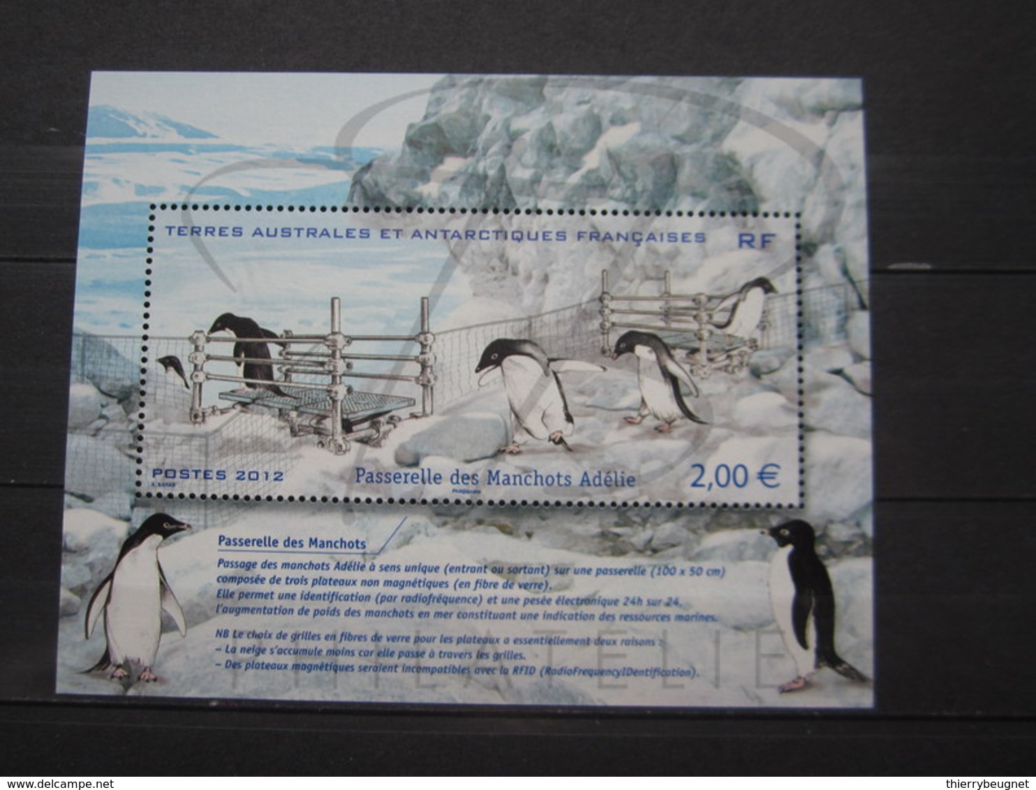 VEND BEAUX TIMBRES DES T.A.A.F. N° F638 , XX !!! - Neufs