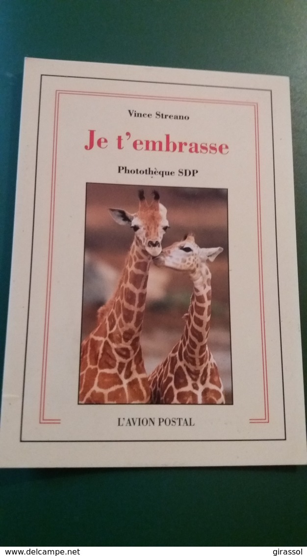 CPM GIRAFE JE T EMBRASSE VINCE STREANO PHOTOTHEQUE SDP ASPECT LIVRE BEST SELLERS - Girafes