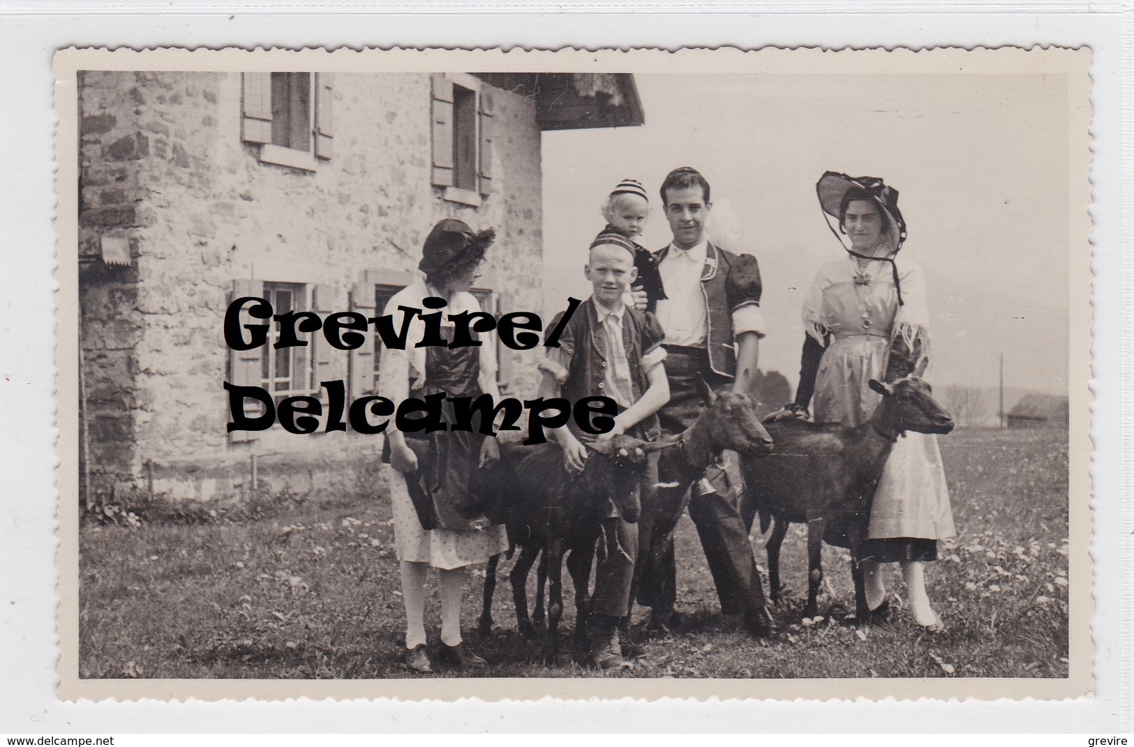 Carte-photo Unique : Groupe En Costumes Gruériens Et Chèvres - Autres & Non Classés