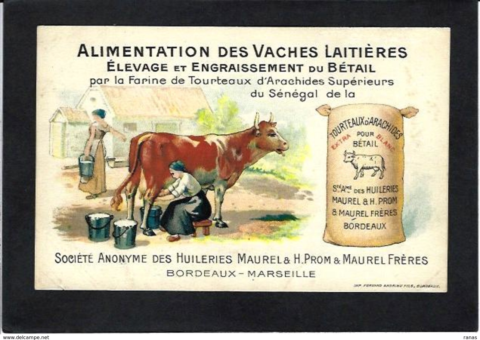 CPA Vétérinaire Veterinary Métier Publicité Publicitaire Bordeaux Non Circulé - Autres & Non Classés