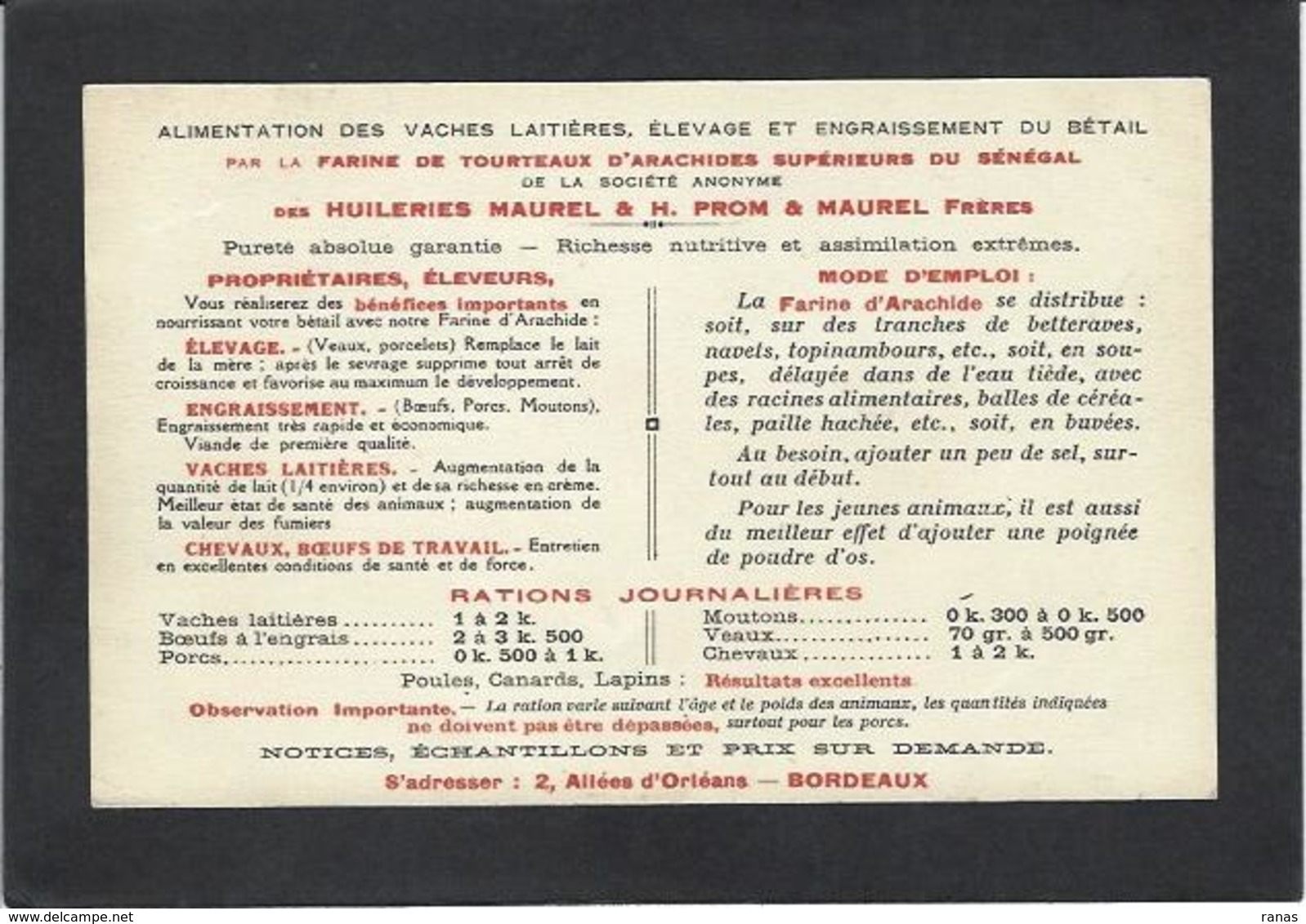 CPA Vétérinaire Veterinary Métier Publicité Publicitaire Bordeaux Non Circulé - Autres & Non Classés