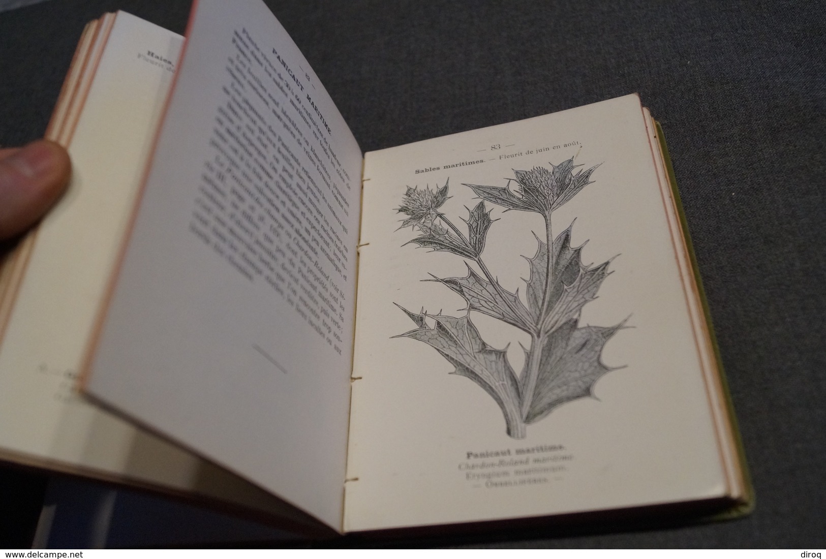 2 ouvrages Atlas de poche des plantes,R.Siélain,série II et III,1906-1907 + herbier d'époque,16 Cm. sur 11,5 Cm.