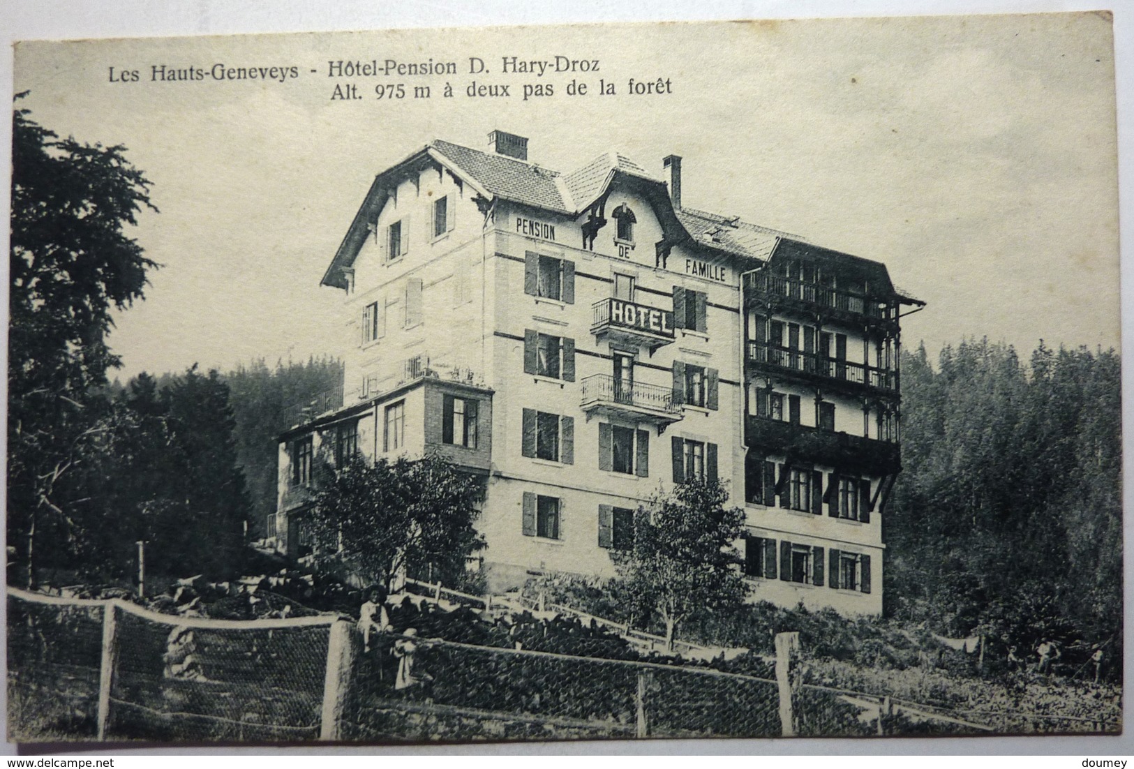 HÔTEL-PENSION D. HARY-DROZ - ALT 975 M Á DEUX PAS DE LA FORÊT - LES HAUTS-GENEVEYS - Les Hauts-Geneveys