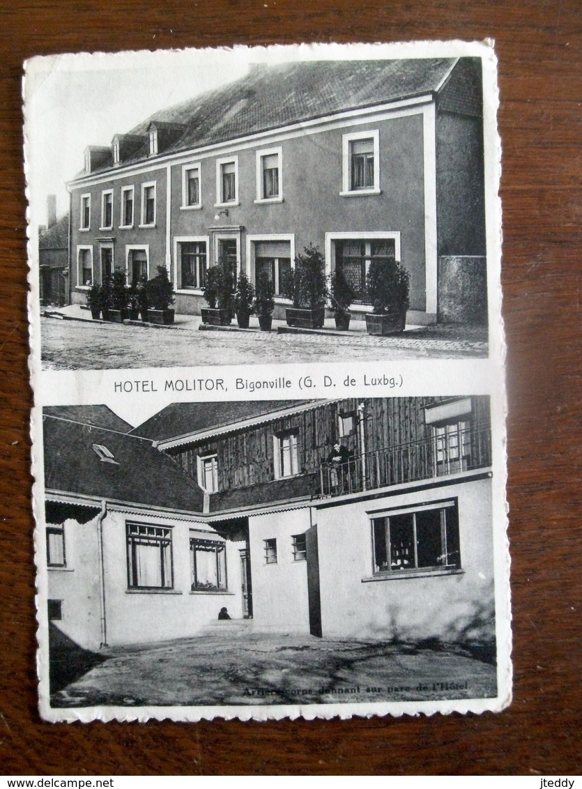 Oude Postkaart 1952   Hotel  MOLITOR   Bigonville - Sonstige & Ohne Zuordnung