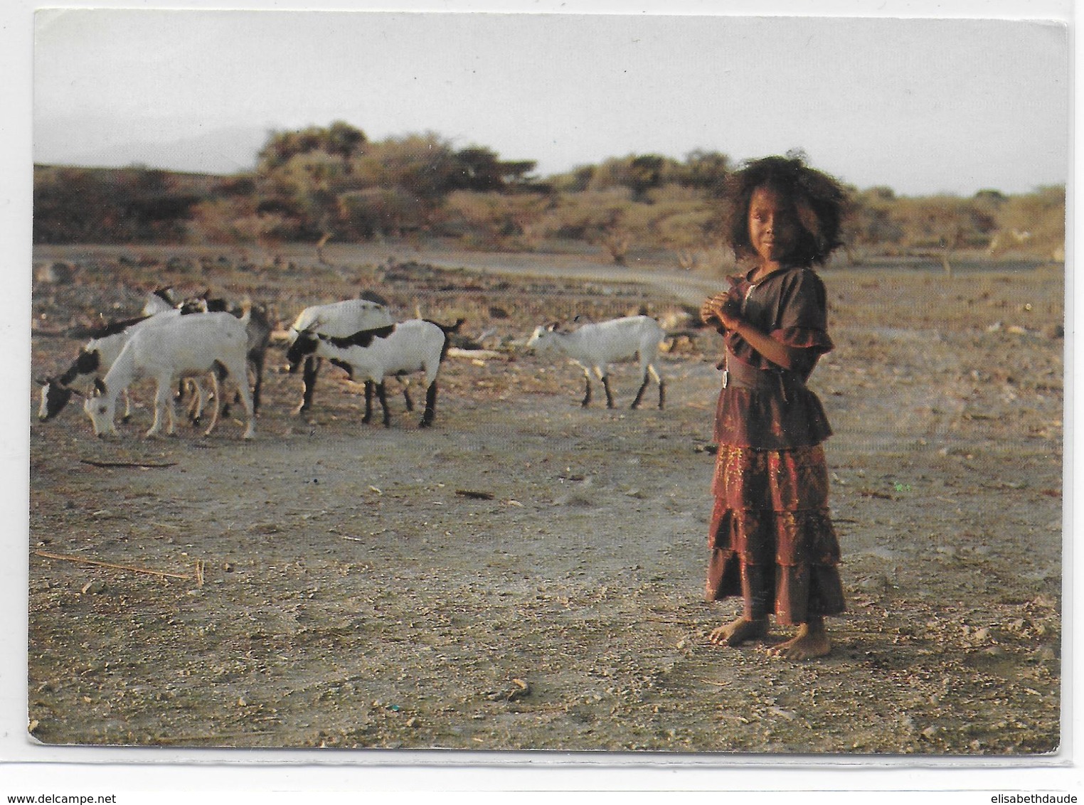 1985 - POSTE NAVALE - CARTE Du NAVIRE JULES VERNE à DJIBOUTI => TOULON - Poste Navale