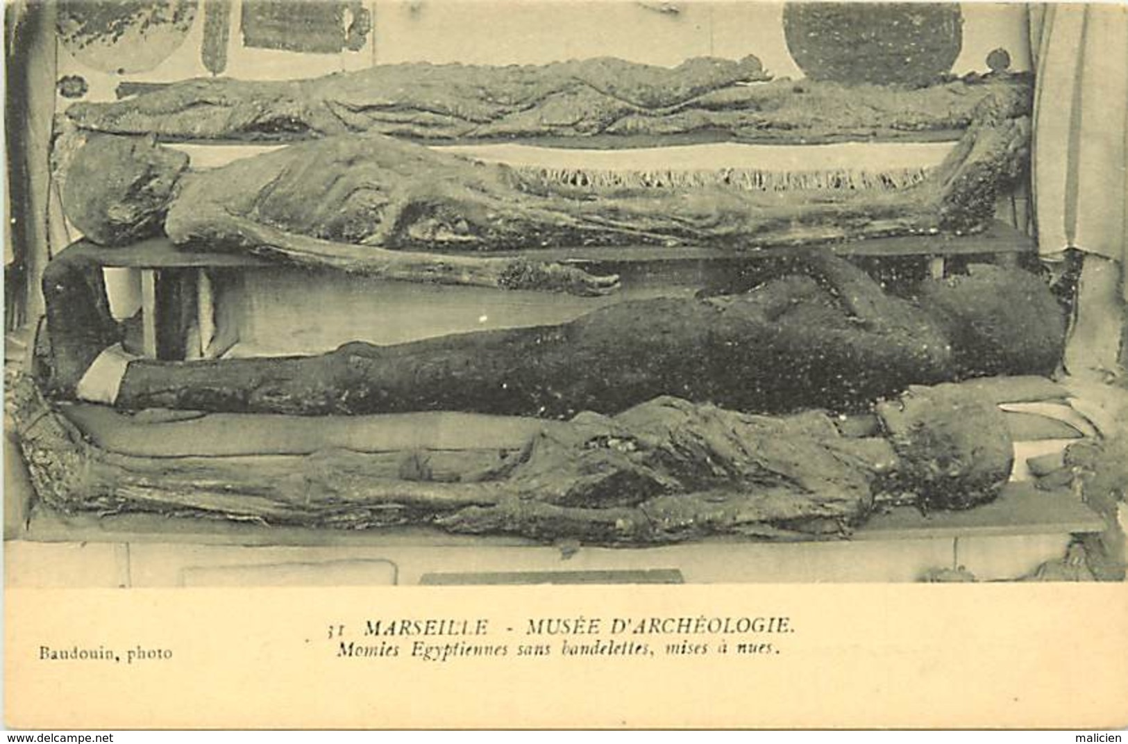 - Dpt Div-ref-AF251- Bouches Du Rhône - Marseille - Musée D Archeologie - Momies Egyptiennes Mises A Nu - Egyptologie - Musea