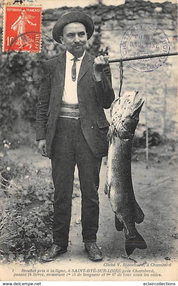 Saint Dyé Sur Loire     41   Pêche A La Ligne . Un Brochet De 24 Livres       (voir Scan) - Other & Unclassified