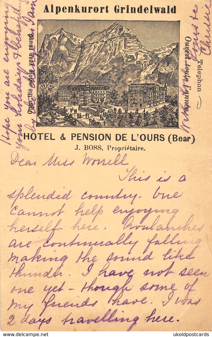 CPA  Suisse, GRINDELWALD, Alpenkurort, Hotel & Pension De L'Ours ( Bear )  - 1894 - Grindelwald