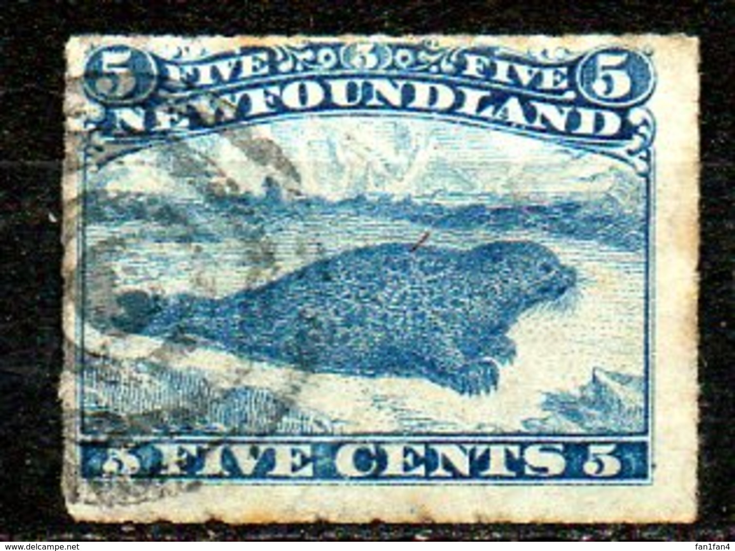 TERRE NEUVE - (NEWFOUNDLAND) - (Colonie Britannique) - 1876-79- N° 34 - 5 C. Bleu - (Phoque) - Sonstige & Ohne Zuordnung