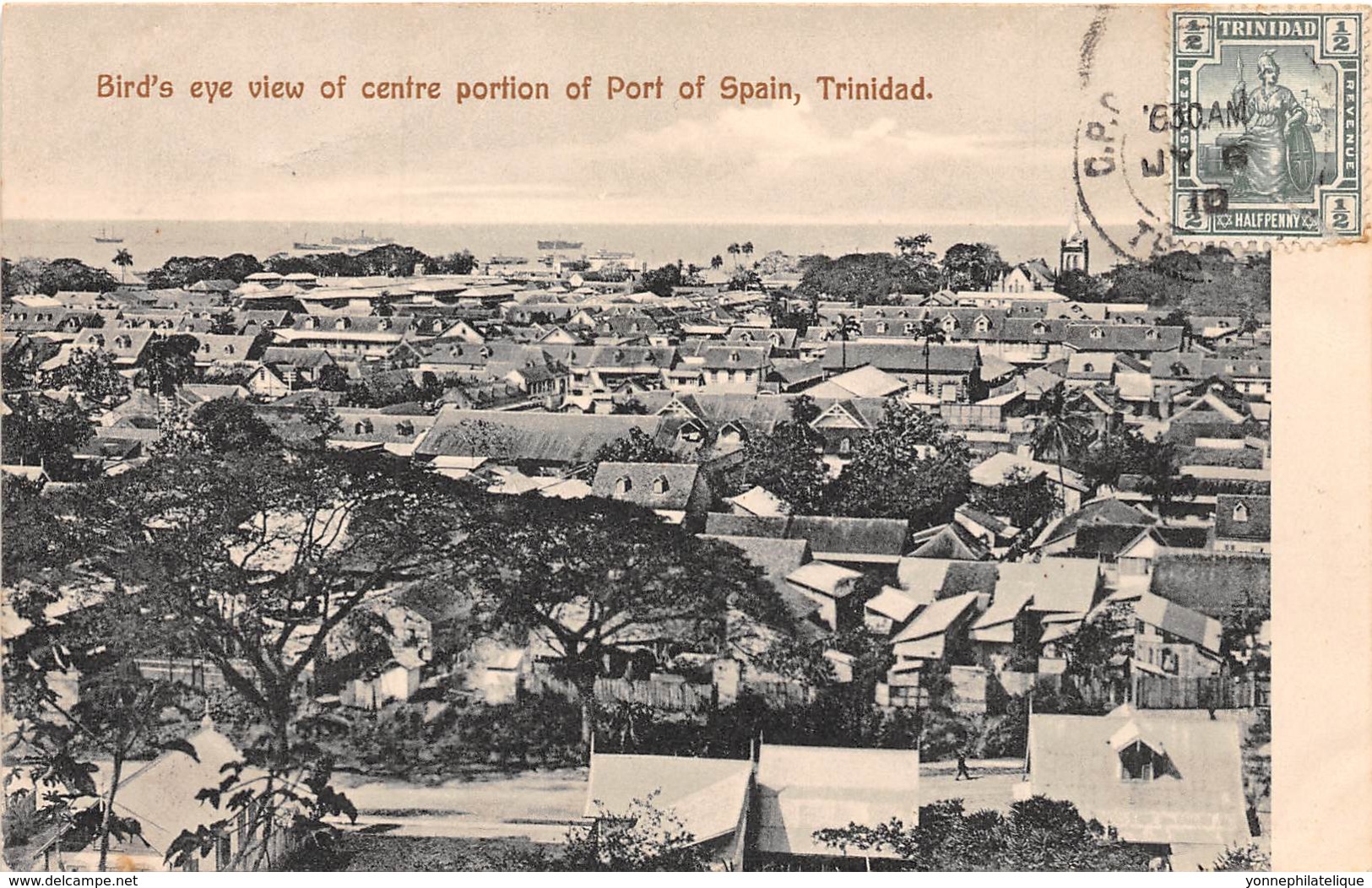 Trinidad - Topo / 16 - Bird's Eye View - Trinidad