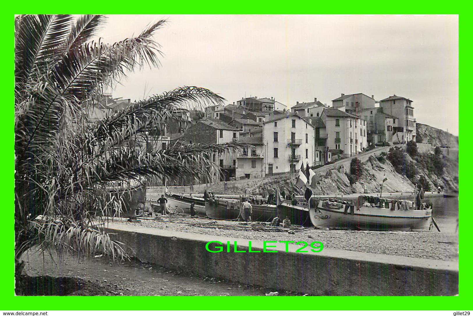 BANYULS SUR MER (66) - LA VILLE ET LA PLAGE - ANIMÉE -  CIRCULÉE EN 1955 -  EDITIONS S.E.P.T. - - Banyuls Sur Mer