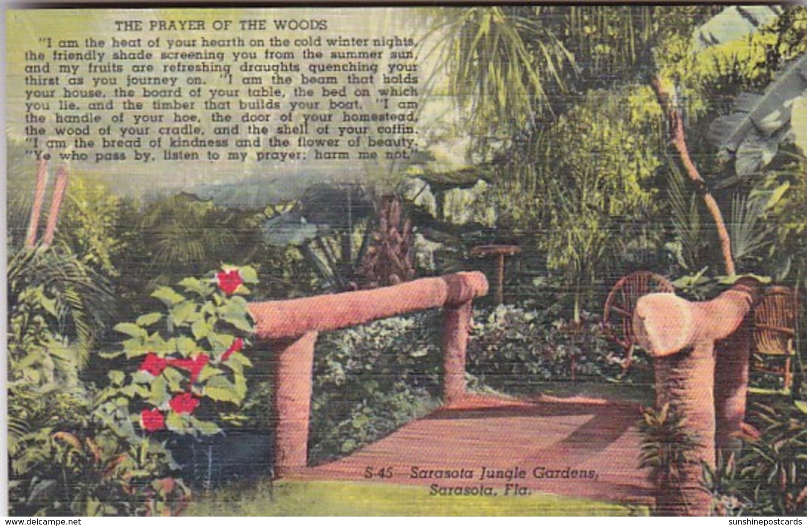 Florida Sarasota The Prayer Of The Woods Sarasota Jungle Gardens Curteich - Sarasota