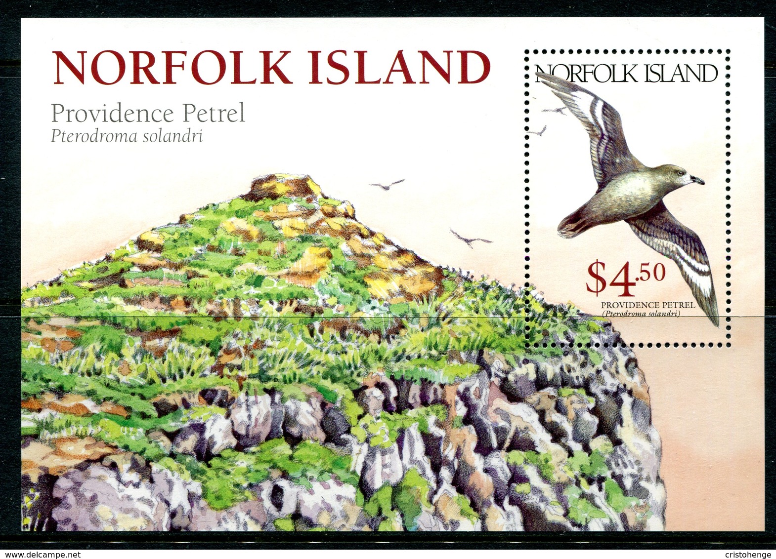 Norfolk Island 1999 Solander's Petrel MS MNH (SG MS702) - Norfolk Island