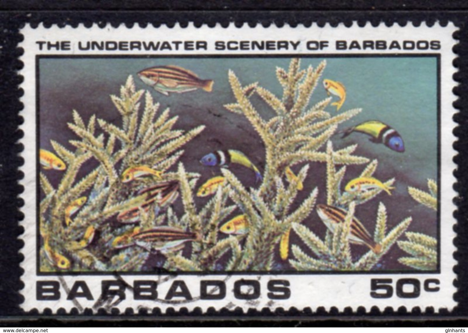 BARBADOS - 1980 50c UNDERWATER SCENERY STAMP FINE USED SG 662 - Barbados (1966-...)