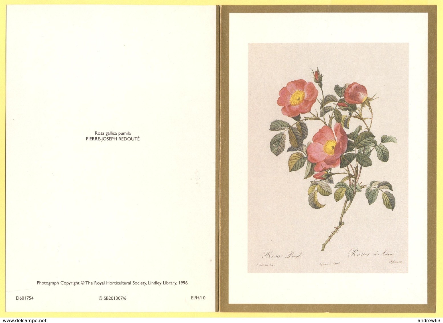 Tematica - Fiori - Rose - Biglietto Augurale - Rosa Gallica Pumila - Pierre-Joseph Redouté - Not Used - Altri & Non Classificati