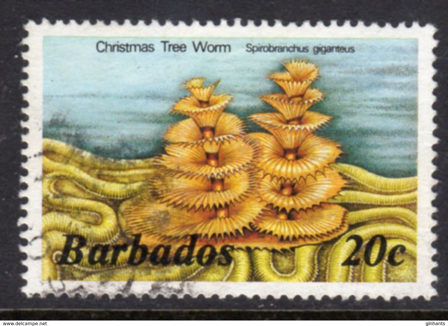 BARBADOS - 1985 20c MARINE LIFE NO IMPRINT STAMP WMK W14 SIDEWAYS FINE USED SG 767A - Barbados (1966-...)