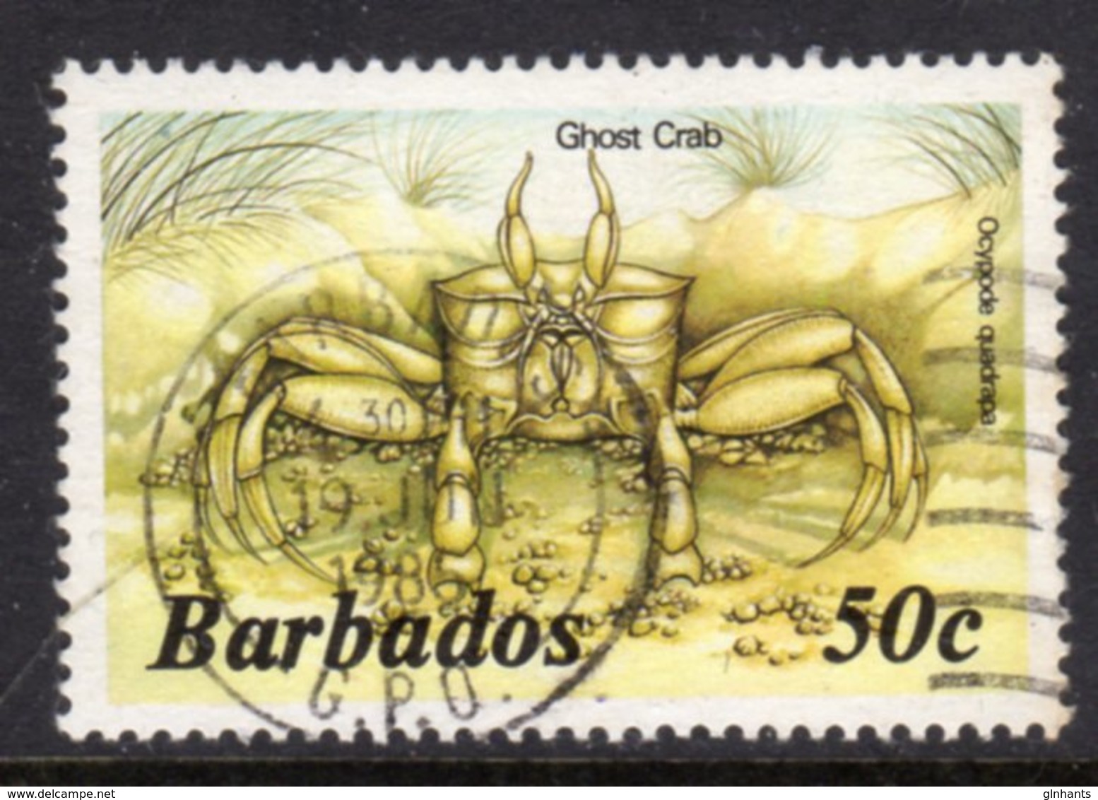 BARBADOS - 1985 50c MARINE LIFE STAMP NO IMPRINT WMK W14 SIDEWAYS FINE USED SG 772A - Barbados (1966-...)