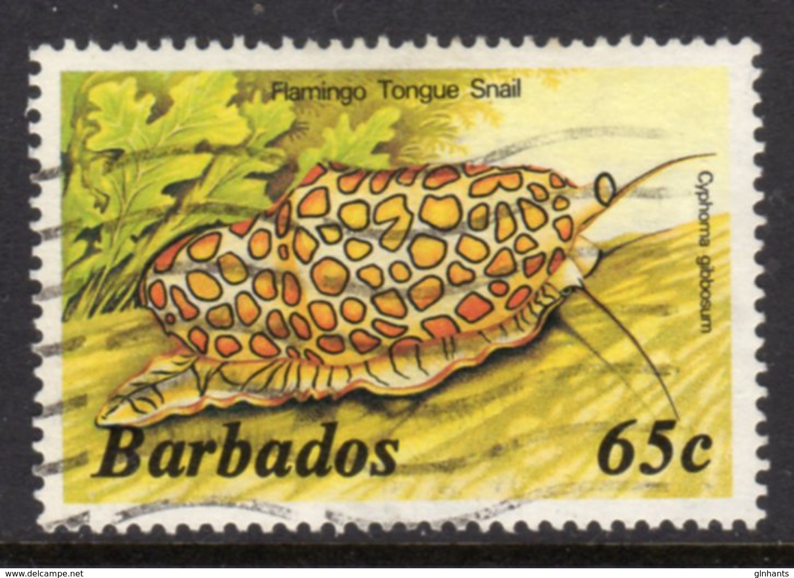 BARBADOS - 1985 65c MARINE LIFE STAMP NO IMPRINT WMK W14 SIDEWAYS FINE USED SG 773A - Barbados (1966-...)