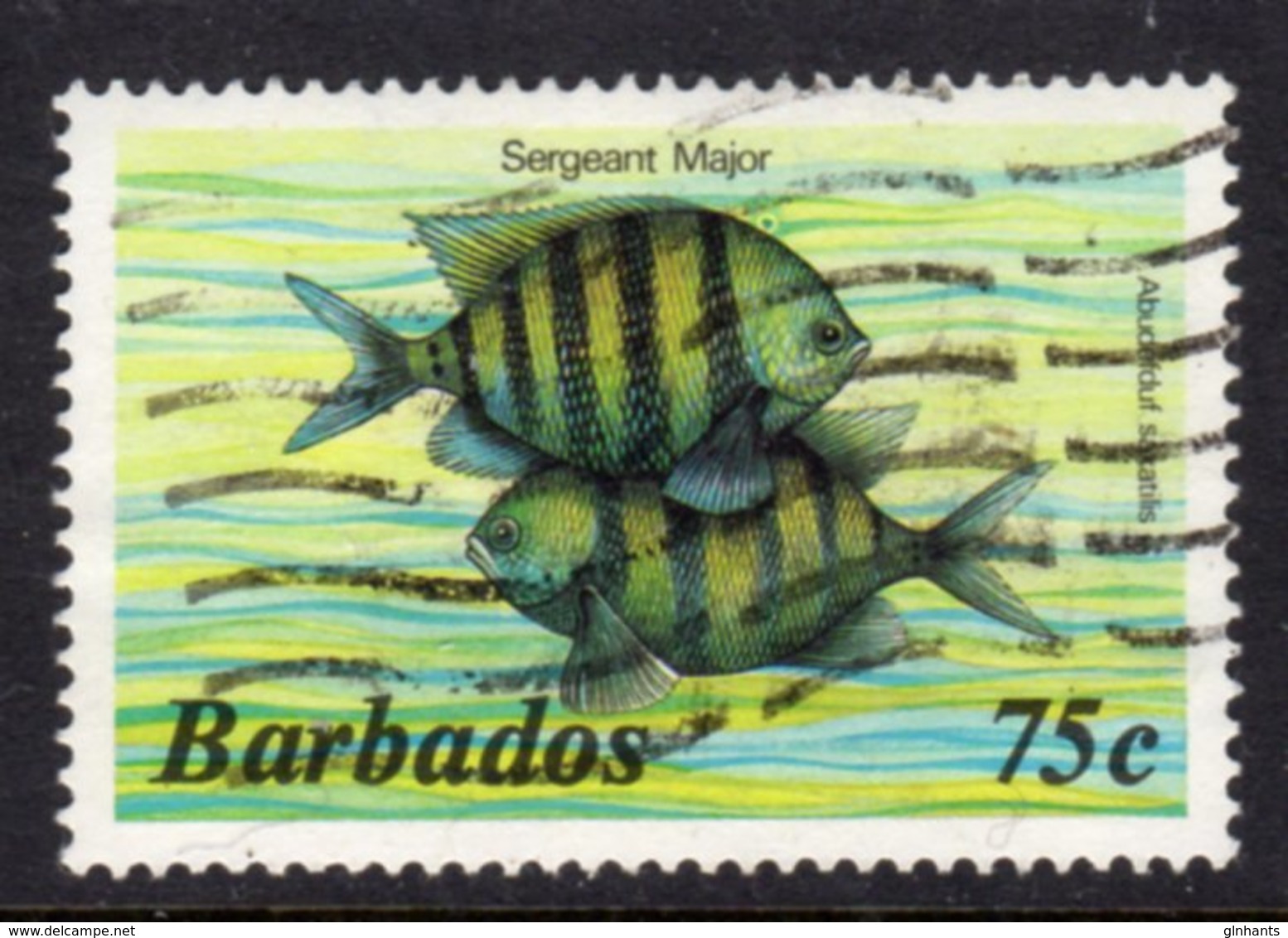 BARBADOS - 1985 75c MARINE LIFE STAMP NO IMPRINT WMK W14 SIDEWAYS FINE USED REF B SG 774A - Barbados (1966-...)