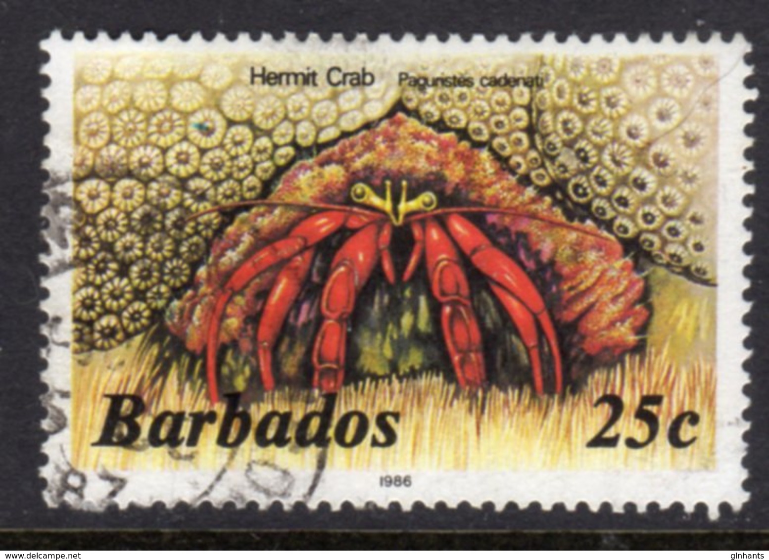 BARBADOS - 1986 25c MARINE LIFE STAMP WITH IMPRINT DATE WMK W16 SIDEWAYS FINE USED SG 799B - Barbados (1966-...)