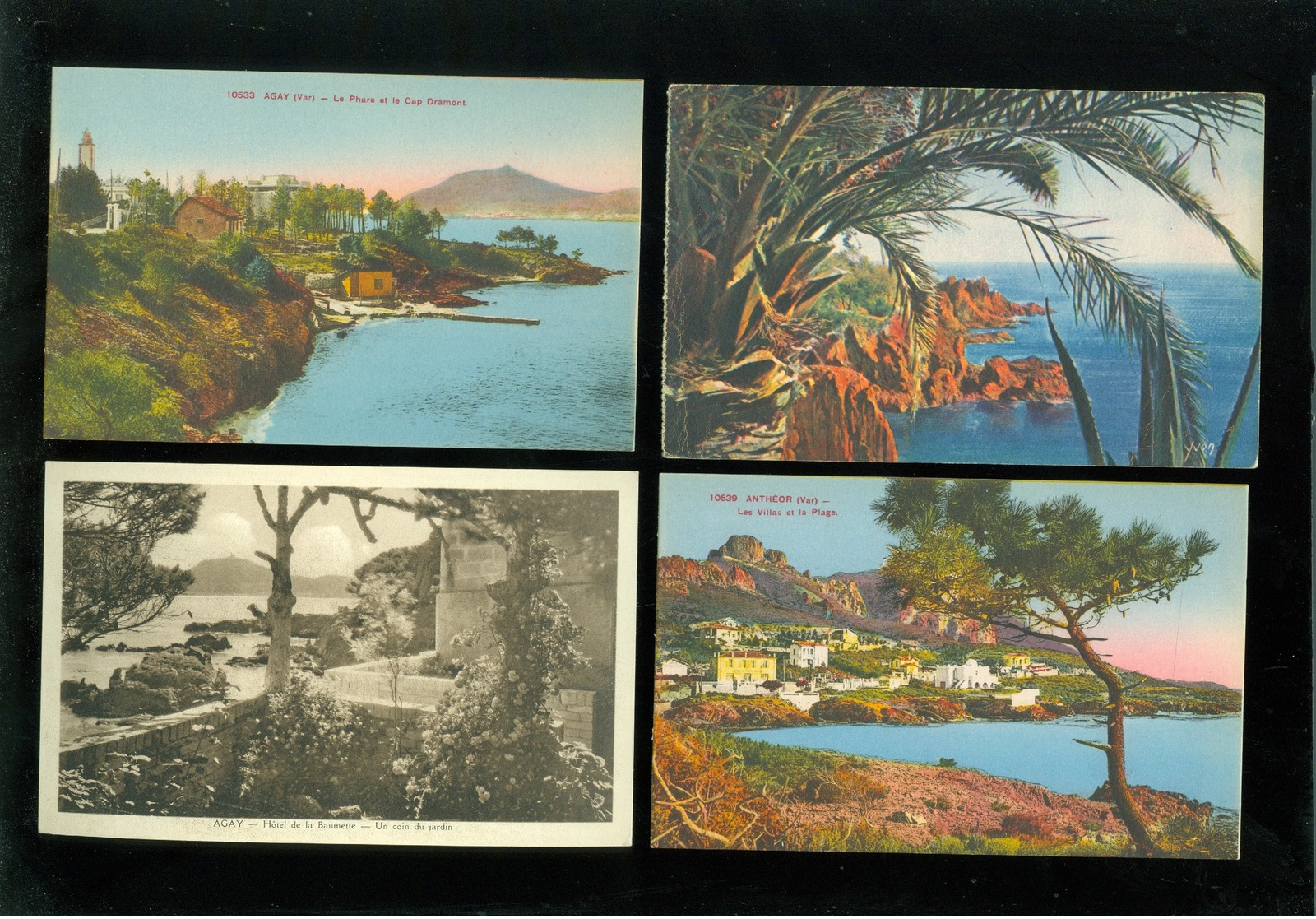 Lot de 50 cartes postales de France  Var   Lot van 50 postkaarten van Frankrijk ( 83 )  - 50 scans