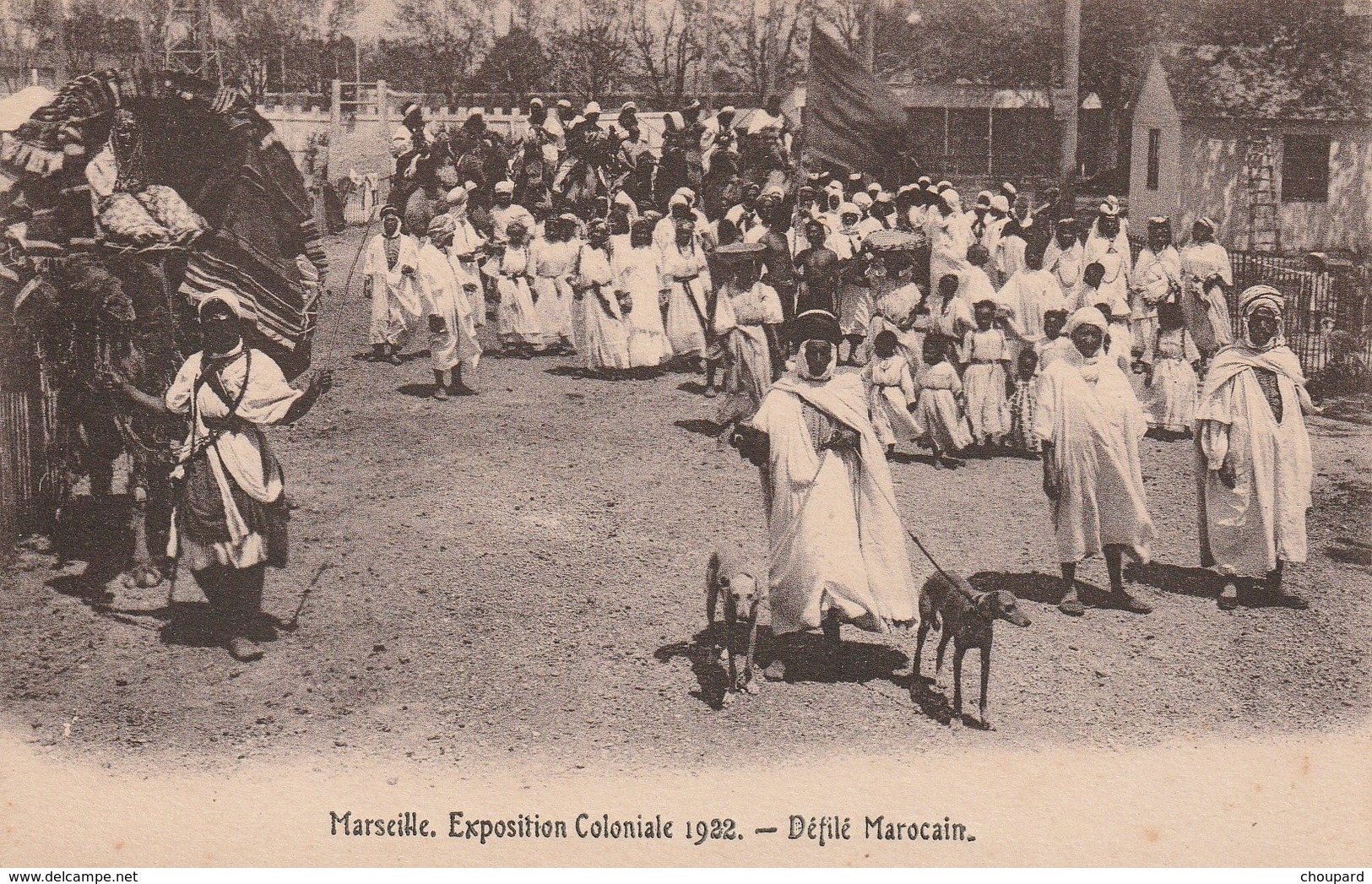 13 - TRES BELLE CARTE POSTALE ANCIENNE DE DEFILE  DE CHIEN LEVRIER A MARSEILLE - Exposiciones Coloniales 1906 - 1922