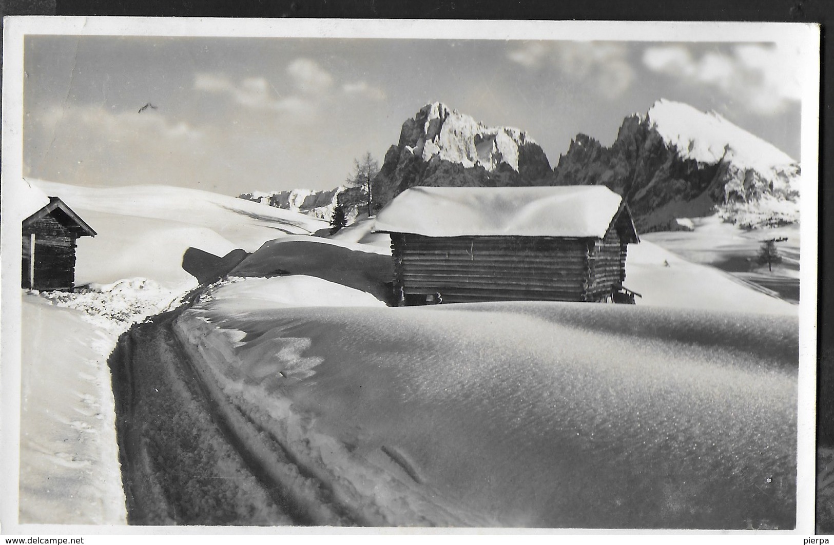 DOLOMITI - IL SASSOLUNGO - TOURING CLUB ITALIANO - EDIZ. AMONN BOLZANO - FORMATO PICCOLO - VIAGGIATA 1961 - Alpinisme