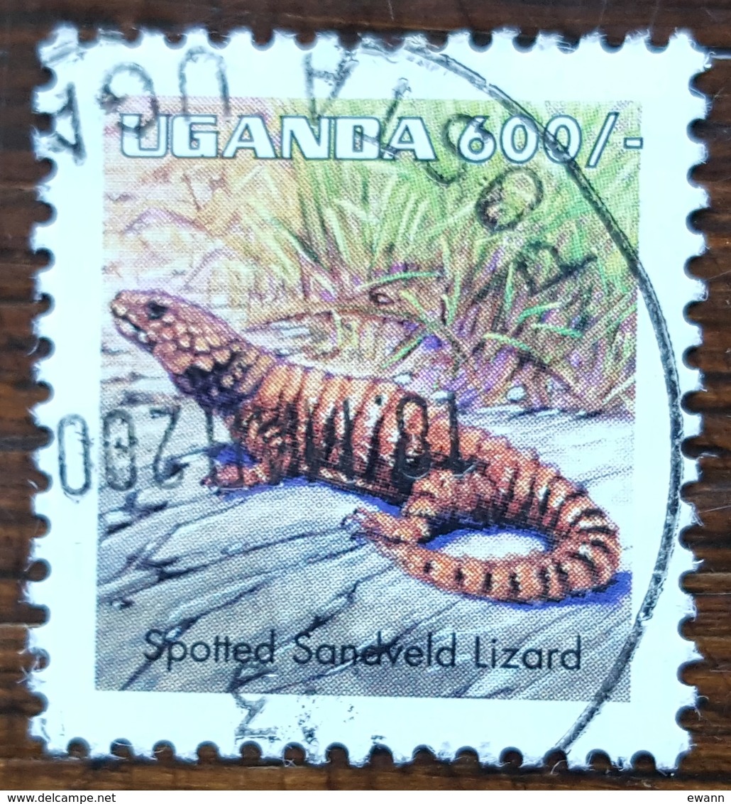 Ouganda - YT N°1624 - Faune / Reptiles / Lézard - 1998 - Oblitéré - Ouganda (1962-...)