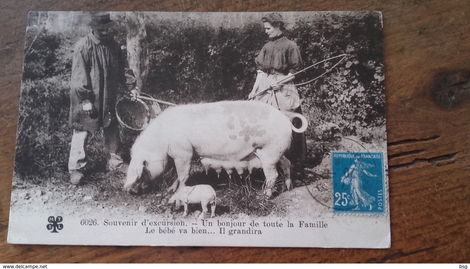 CPA Cochon - Souvenir D'excursion Un Bonheur De Toute La Famille - Maiali