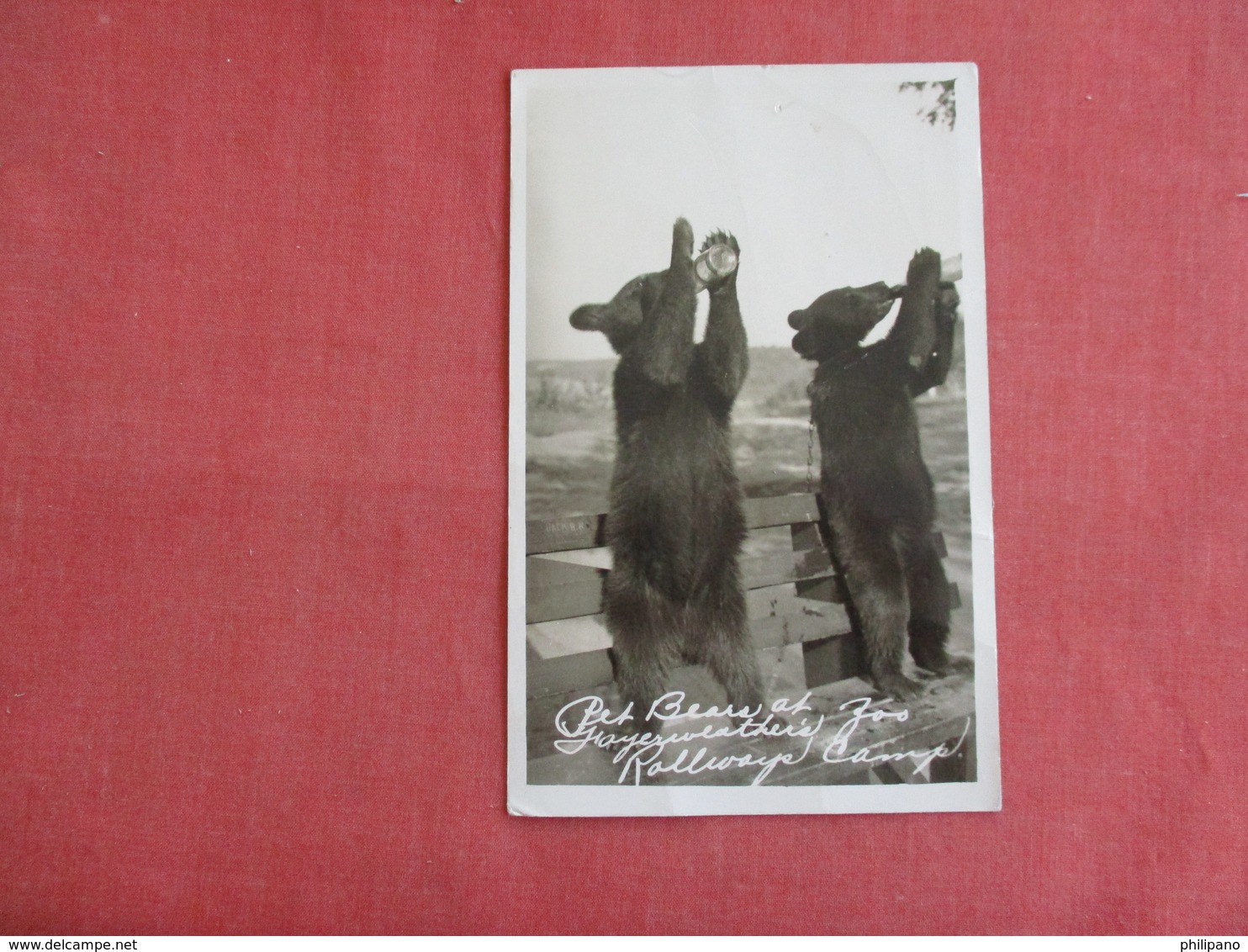 RPPC Pet Bears Rollways Camp   Ref 3138 - Ours