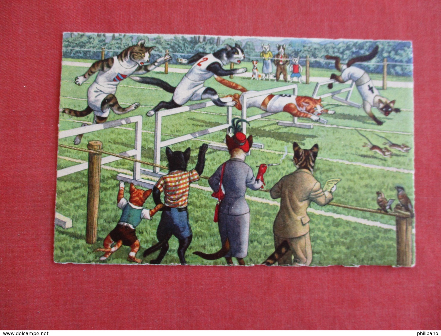 Dressed Cats--- Hurdle Running    Ref 3139 - Chats