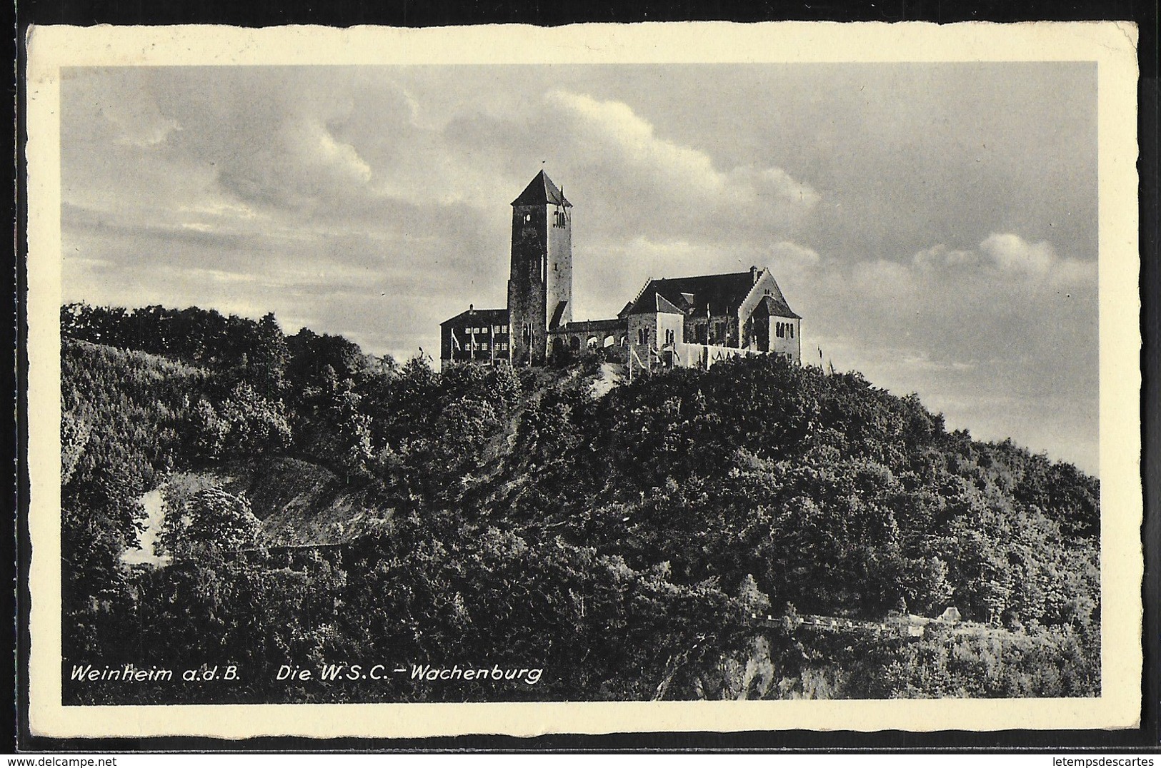 CPA ALLEMAGNE - Weinheim, Die W.S.C. Wachenburg - Weinheim