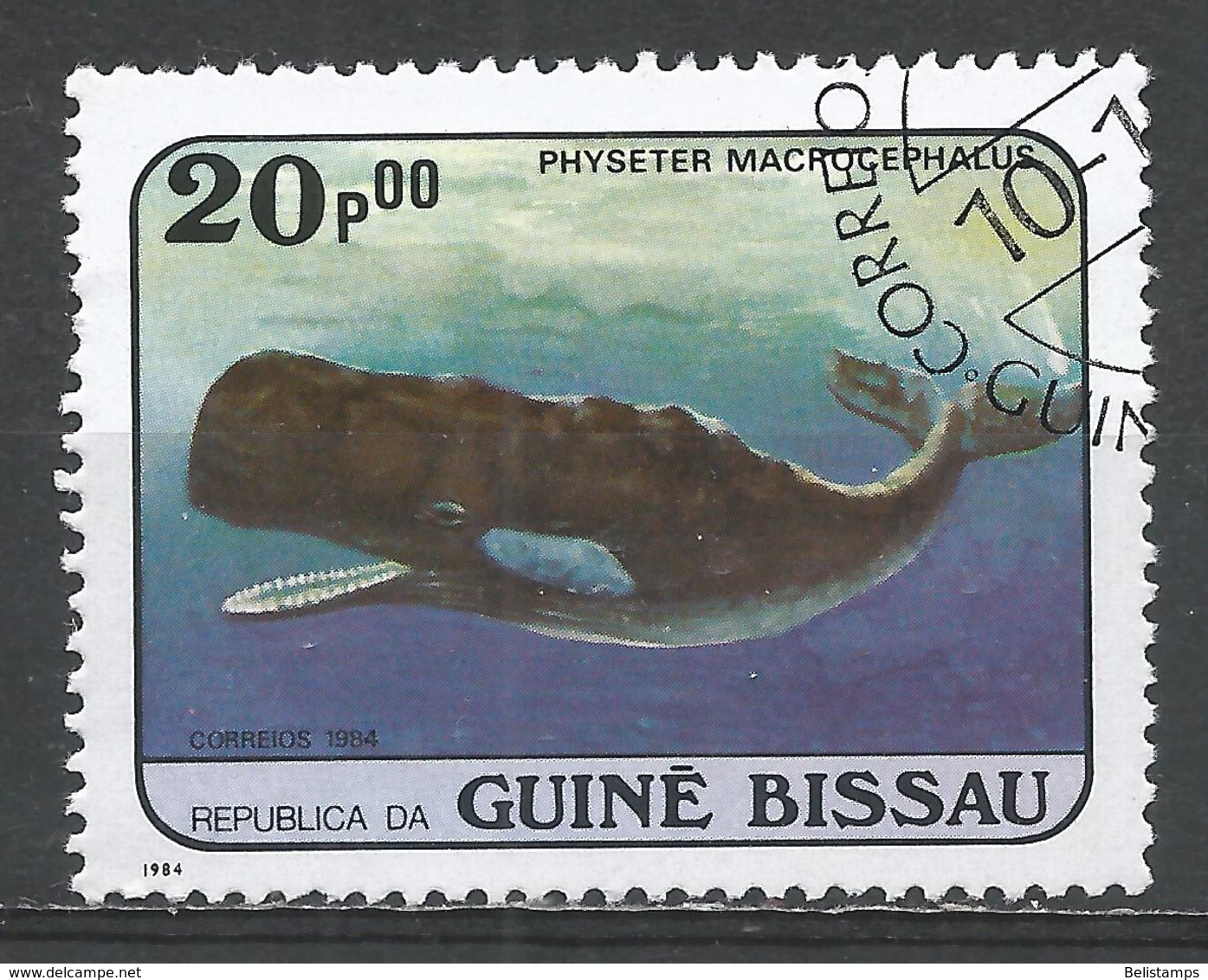 Guinea-Bissau 1984. Scott #600 (U) Whale, Physeter Macrocephalus - Guinée-Bissau