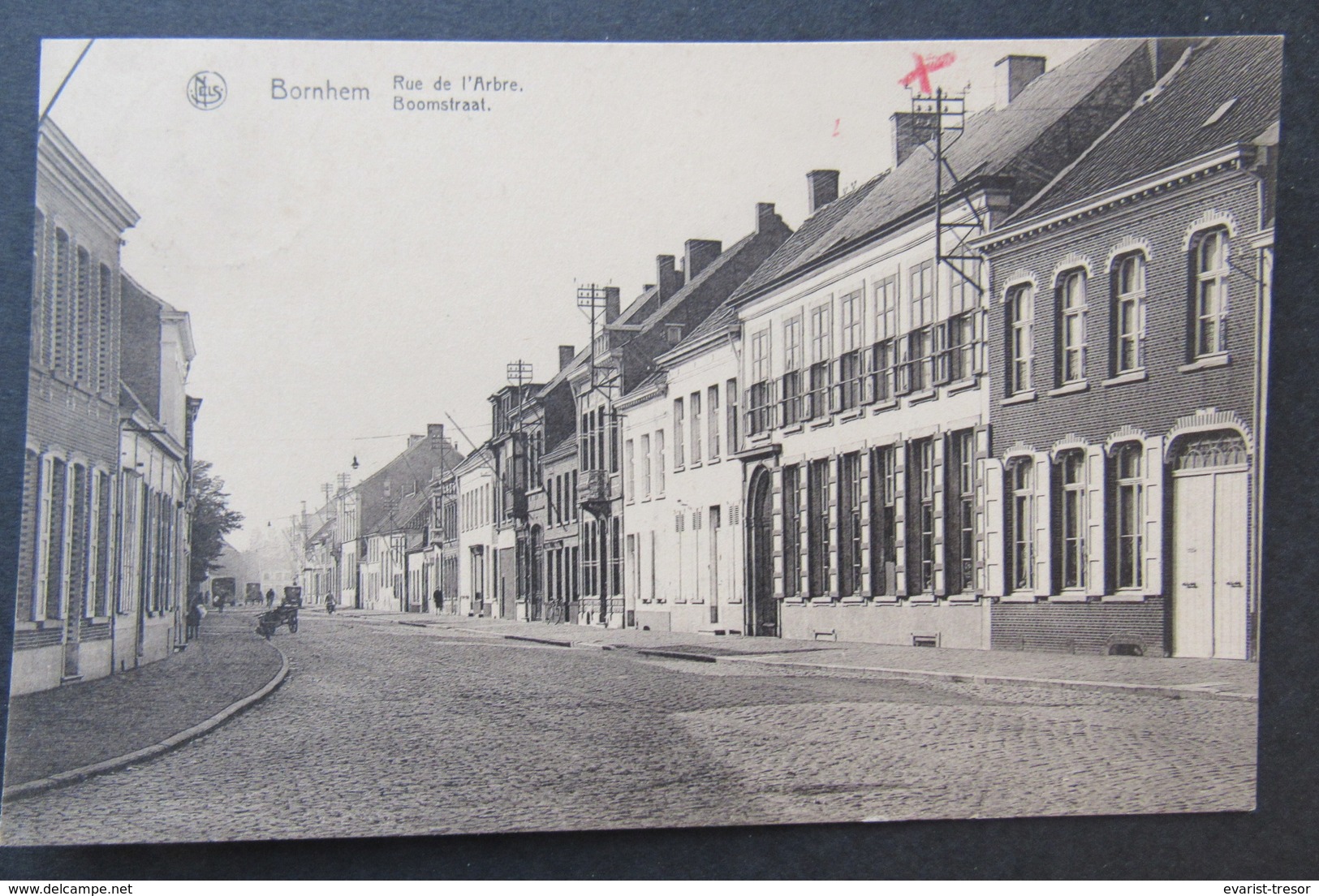 Cpa/pk Bornem Bornhem Boomstraat - Bornem