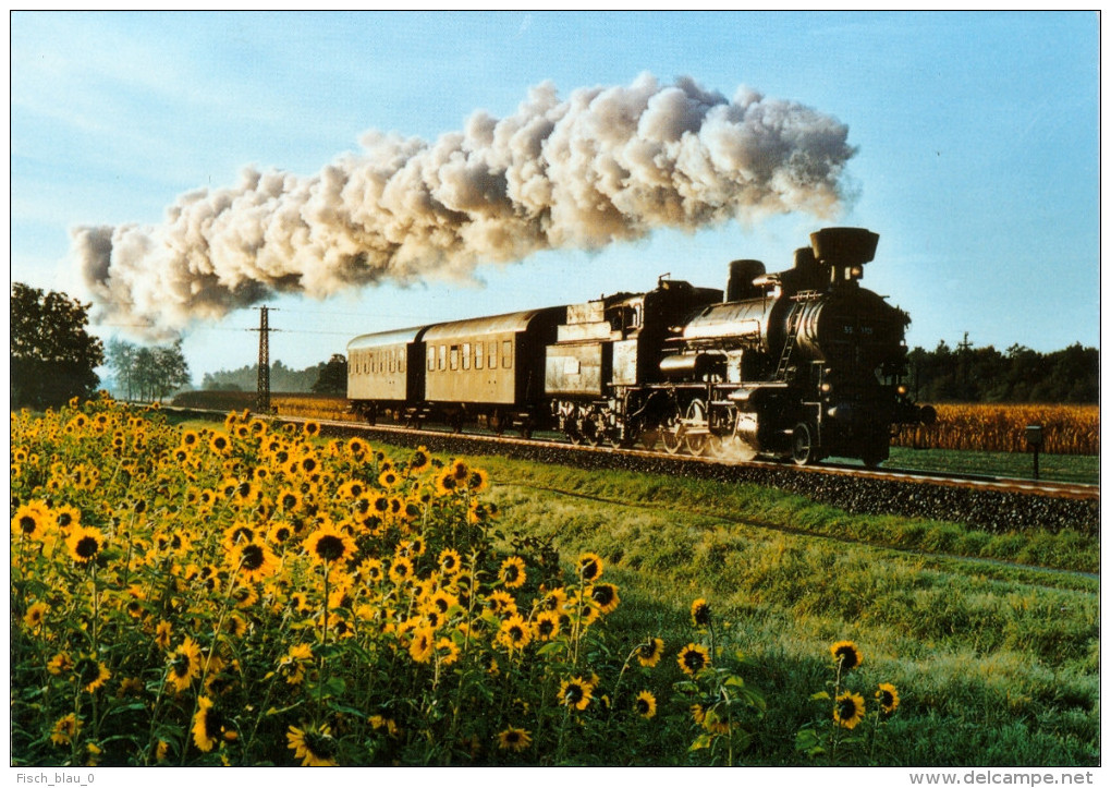 AK Eisenbahn Graz-Köflacher-Bahn GKB Lokomotive 1D-n2v Lok Lieboch-Schadendorf Österreich Railway Austria Steiermark - Eisenbahnen