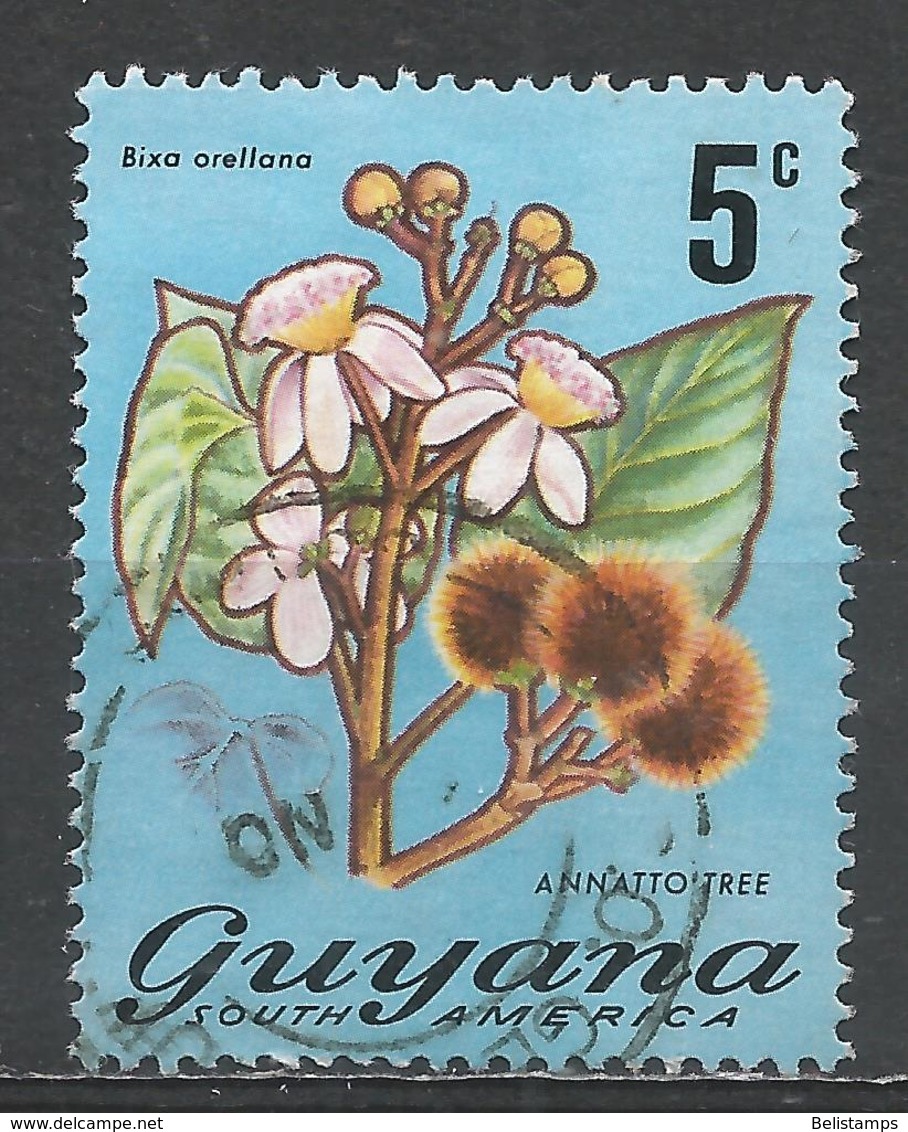 Guyana 1971. Scott #136 (U) Flora, Annatto Tree * - Guyane (1966-...)