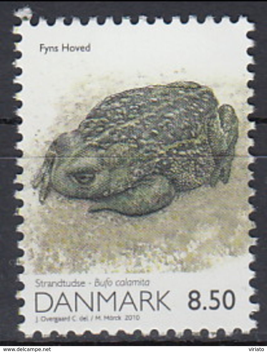 Danmark 2010 (MNH) - Natterjack Toad (Epidalea Calamita) - Kikkers