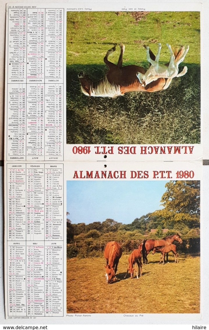 Almanach Calendrier Du Facteur La Poste Ptt Année 1980 ISERE  Theme Chevaux - Grand Format : 1971-80