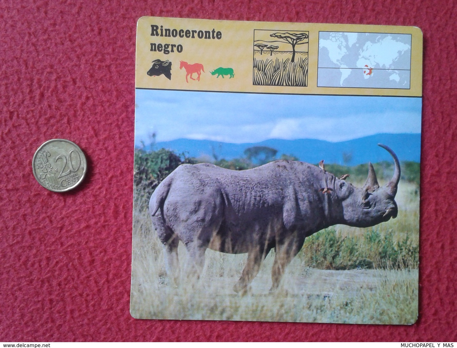 ESPAGNE SPAIN FICHA SHEET FICHE RINOCERONTE NEGRO BLACK RHINO RHINOCEROS RHINOS RHINOCEROSES RINOCERONTES WILDLIFE FAUNA - Animales