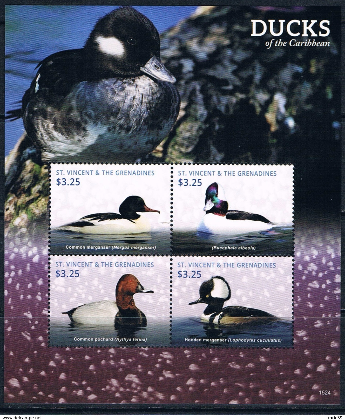 Bloc Sheet Oiseaux Canards Birds Ducks Neuf  MNH **  St Vincent Grenadines  2015 - Canards