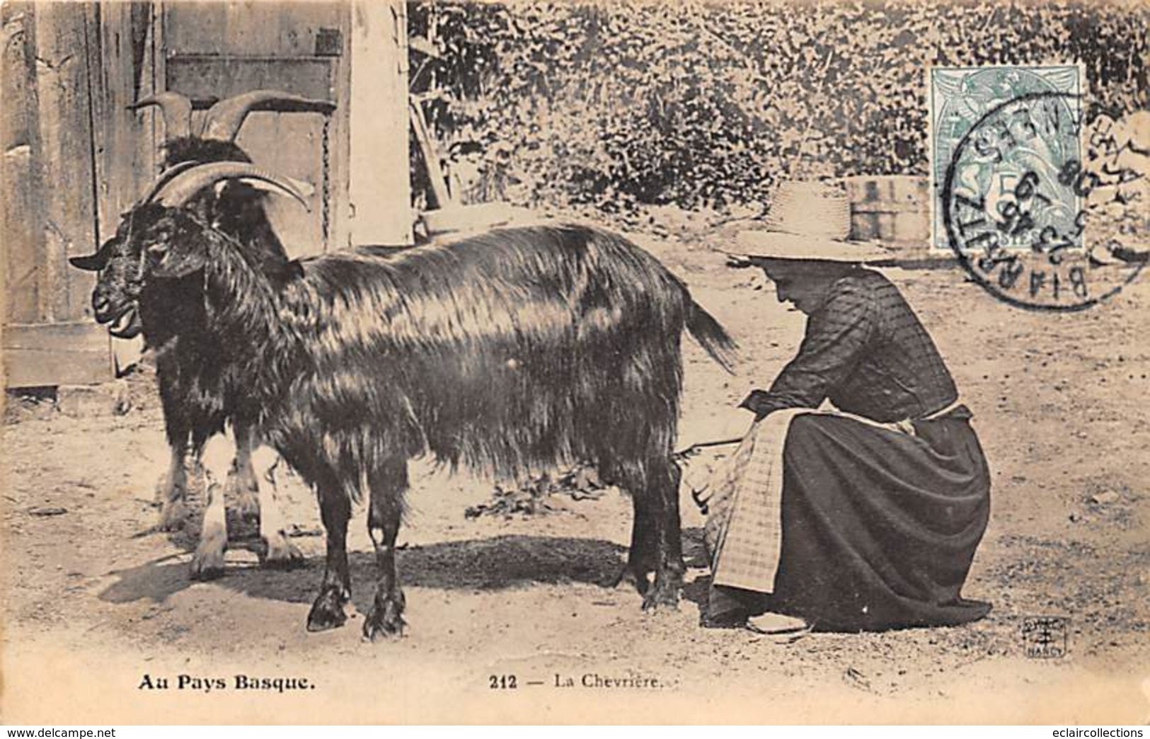 Pays Basque    64     La Chevrière Traite Du Lait    (voir Scan) - Autres & Non Classés