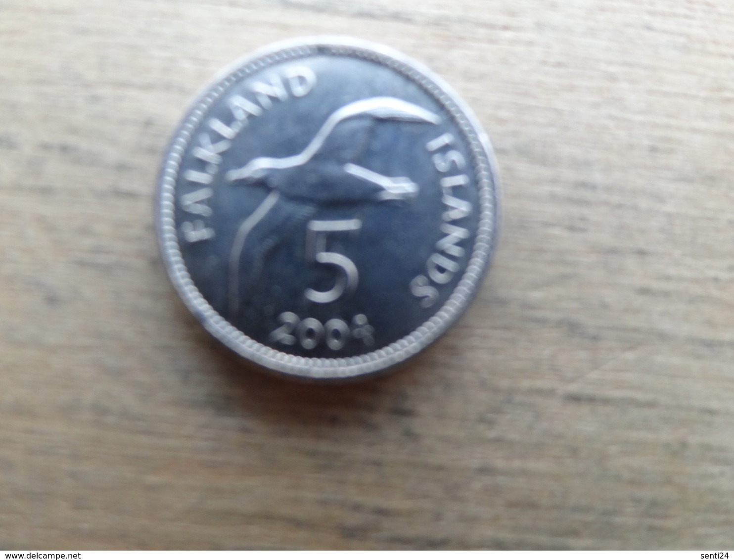 Falkland  5  Pence  2004  Km 132 - Falkland