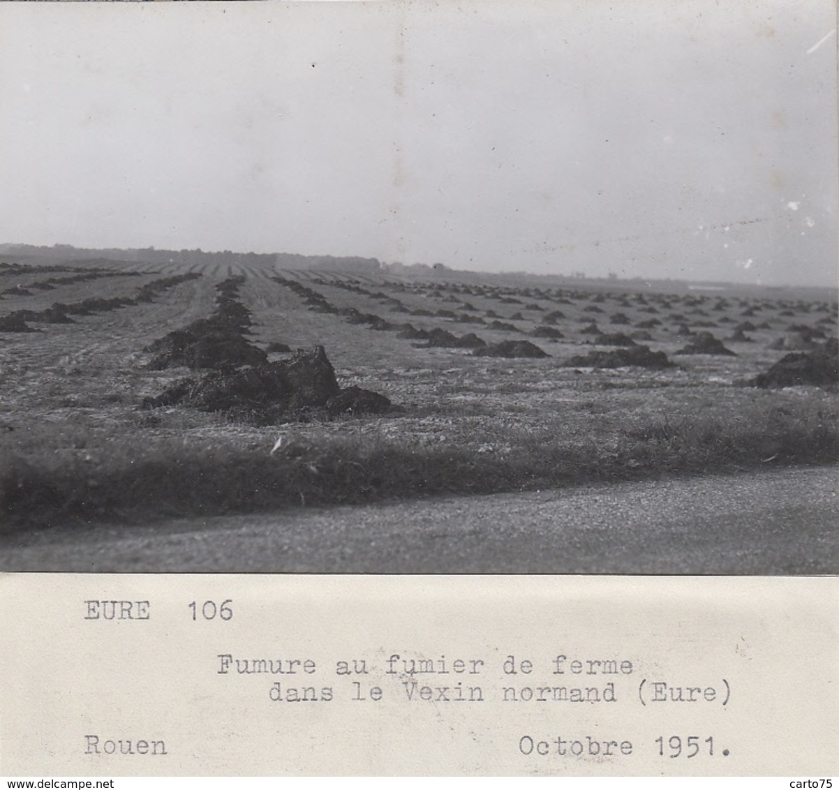 Le Vexin 27 - Agriculture Agronomie - Photographie - Epandage Fumier De Ferme Région Du Vexin - 1951 - Fotografie