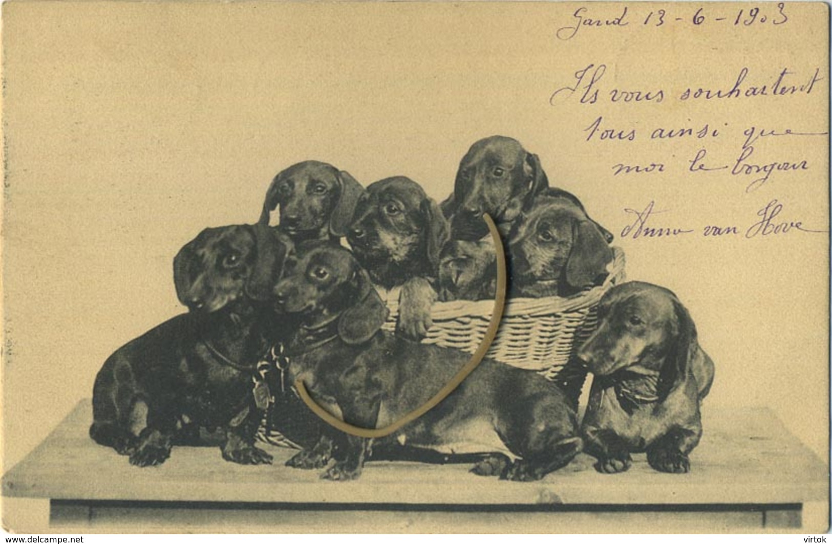 TECKEL - Dachshund :  ( Written With Stamp ) - Chiens