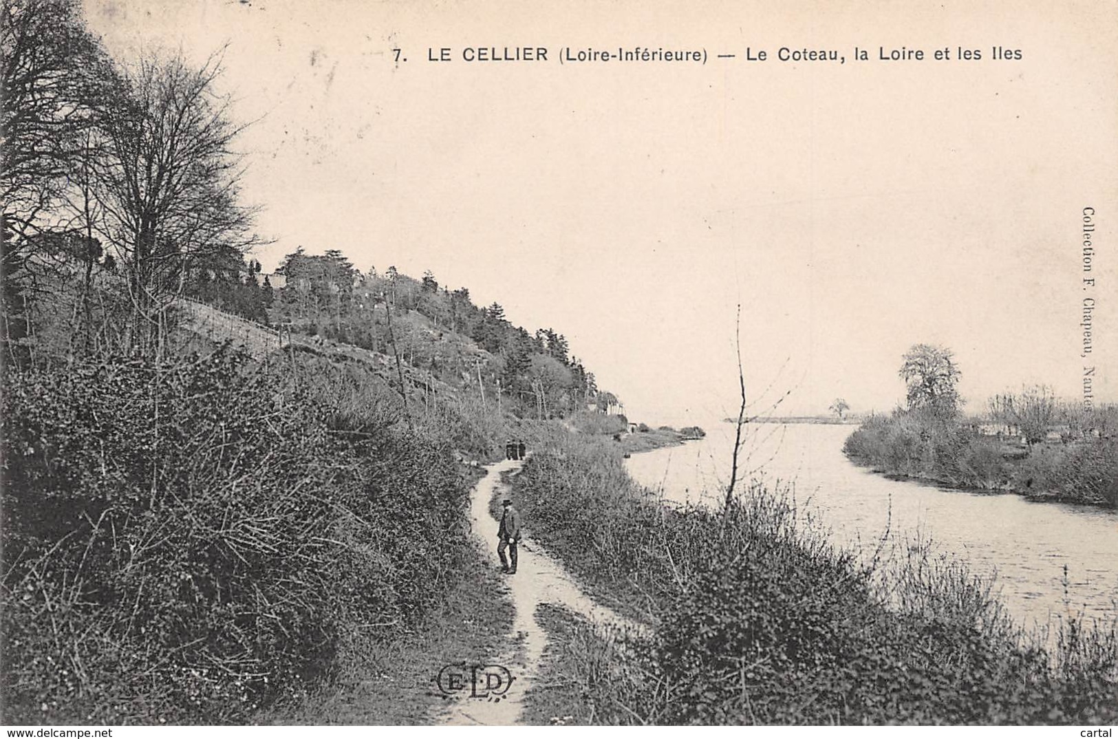 44 - LE CELLIER - Le Coteau, La Loire Et Les Iles - Le Cellier