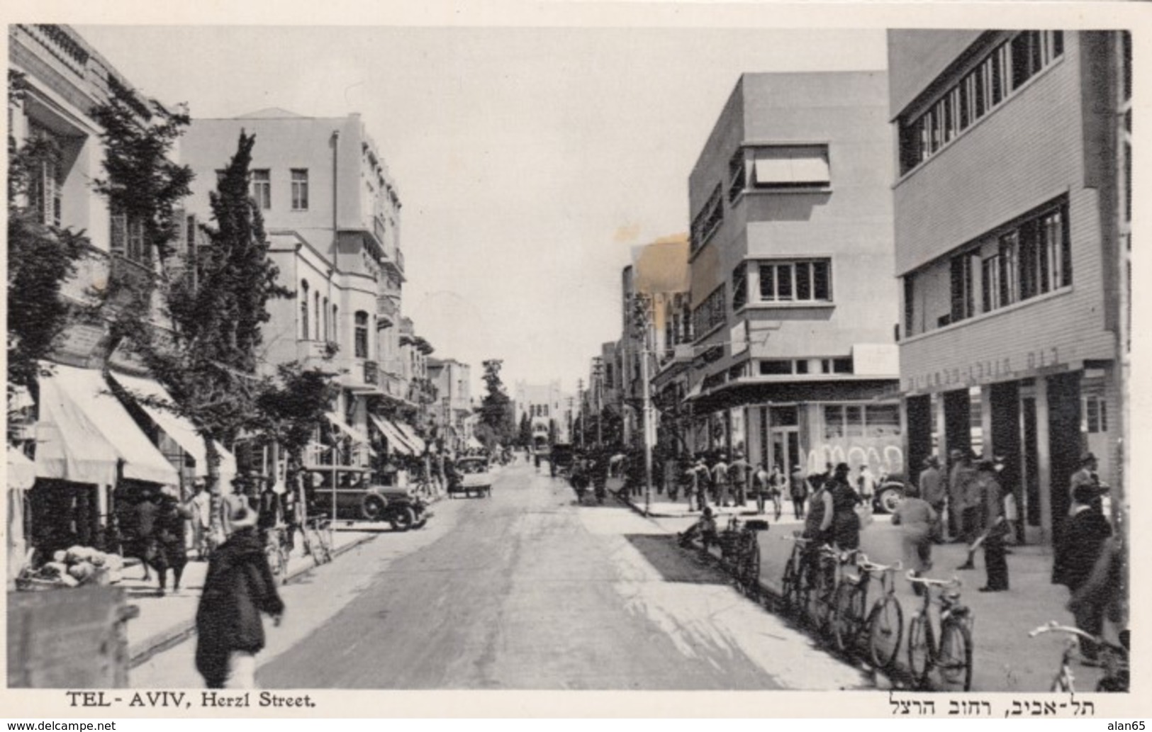 Tel Aviv Israel, Herzl Street Scene Autos Bicylces, C1930s/40s Vintage Eliahu Bros. Postcard - Israel