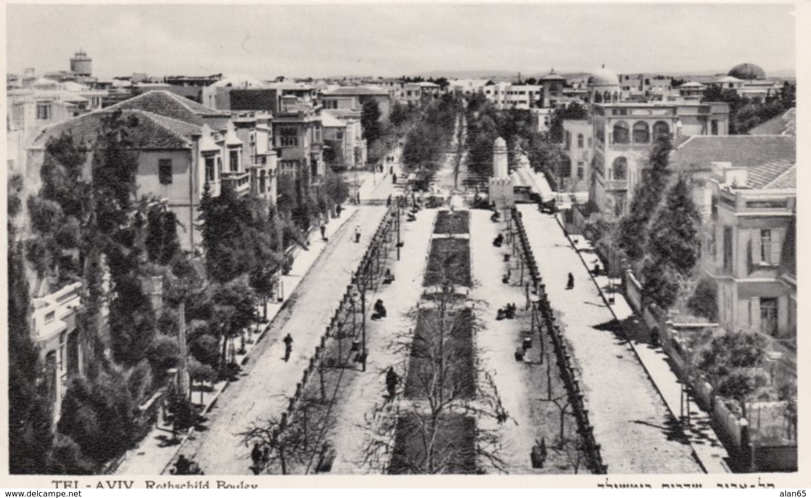 Tel Aviv Israel, Rothschild Boulevard Street Scene, C1930s/40s Vintage Eliahu Bros. Postcard - Israel