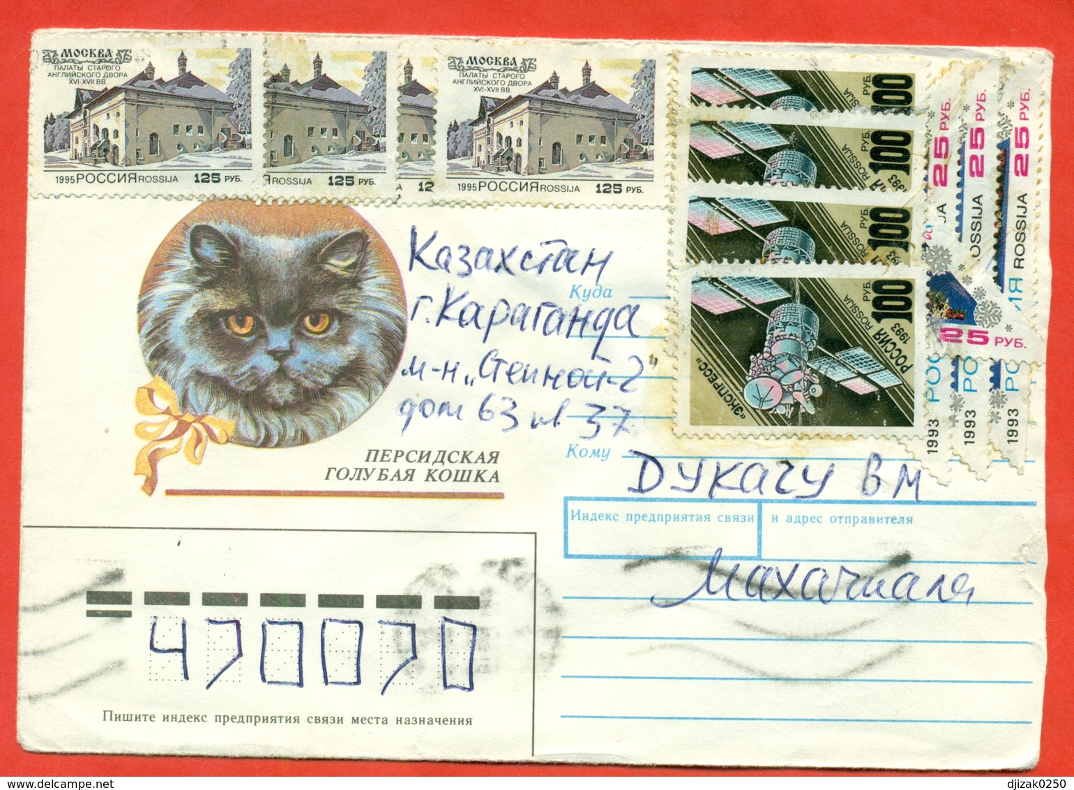 Russie 1995.Persian Blue Cat. Inflation.The Envelope Passed Mail. - Domestic Cats