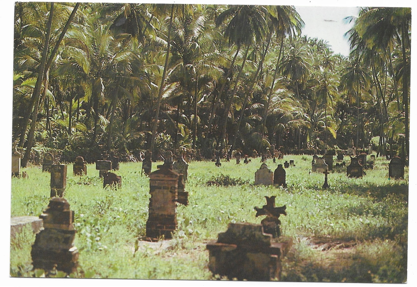 Guyane Française Iles Du Salut : Cimetière Des Gardiens à L' Ile Saint-Joseph Photo Pierre Dubois - Autres & Non Classés